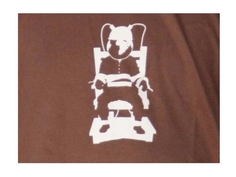 Pure Gear T-shirt Couloir De L'Amour Chocolat 4 Pure Gear T-shirt Couloir De L'Amour Chocolat – Image 2