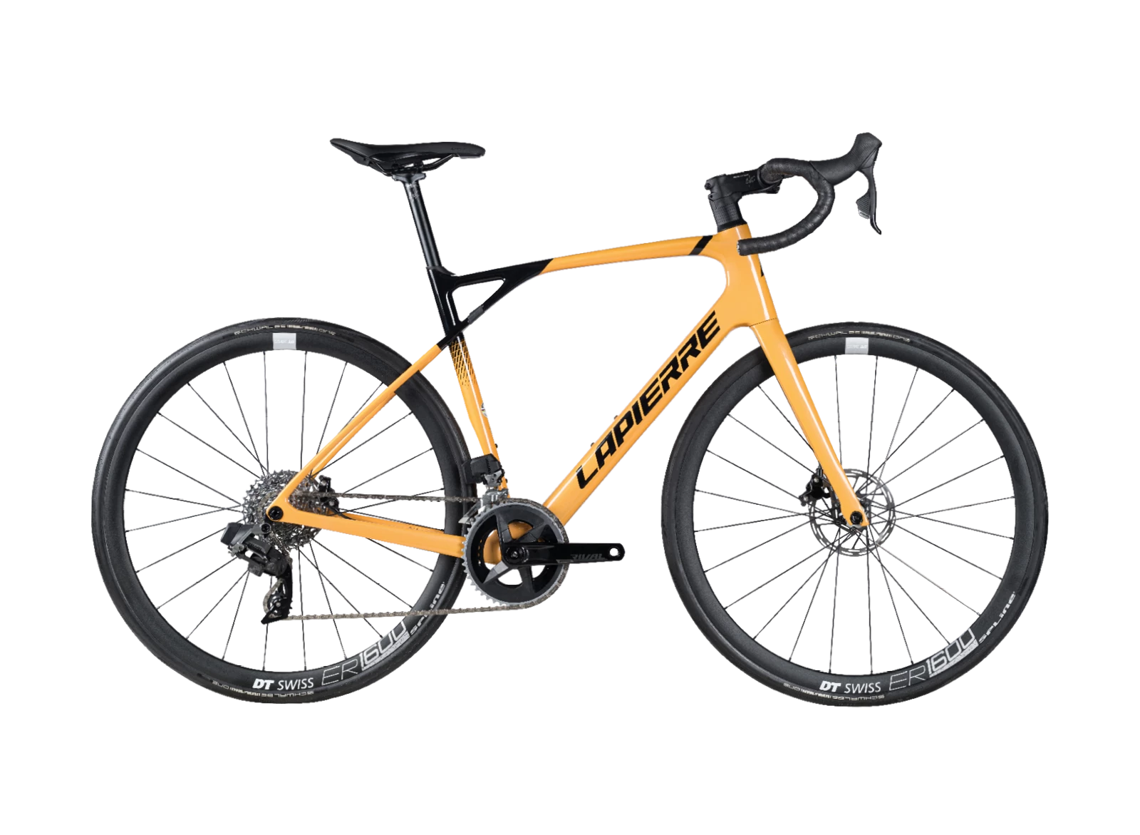 Pulsium SAT 6.0 AXS 2023 3 Pulsium SAT 6.0 AXS 2023